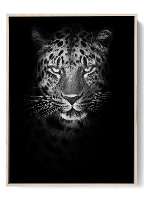 Intense Black and White Leopard Portrait Art Print