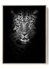 Intense Black and White Leopard Portrait Digital Print