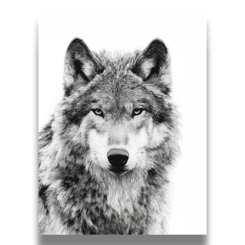 Intense wolf gaze wildlife print