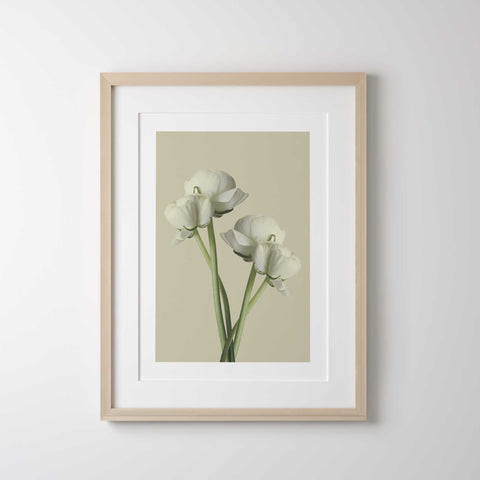 Japandi botanical wall decor