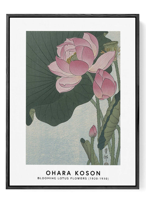 Japanese lotus flower wall art