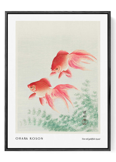 Japanese woodblock goldfish poster