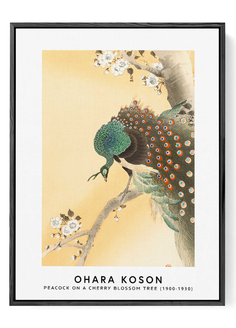 Japanese woodblock peacock poster