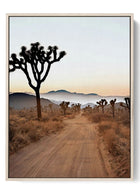 Joshua Tree Twilight - Serene Desert Road Poster