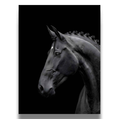 Large Format Canvas Wall Art of a black horse for office decor