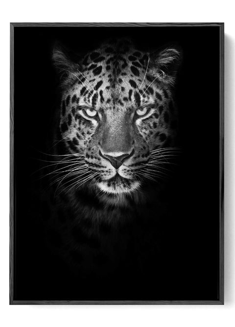 Leopard Close-Up Wall Art