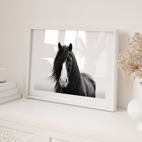 Luxury black horse  decor