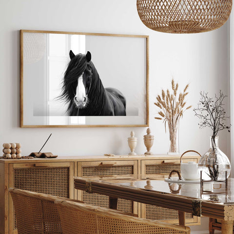 Luxury black horse photography decor