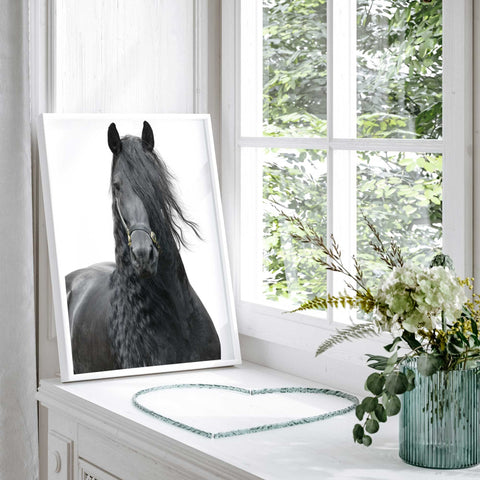 Luxury horse photography decor