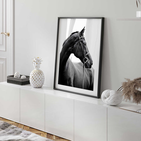 Luxury minimalist horse decor