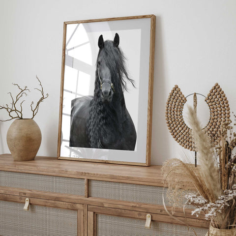 Majestic Black Stallion Wall Art

