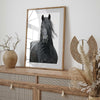 Black Stallion Horse Art Print – Elegant Black Horse
