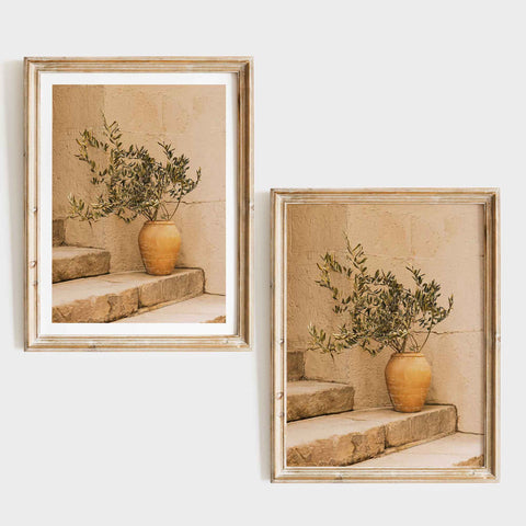 Mediterranean Olive Tree Art