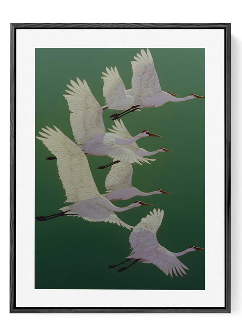 Mediterranean still life illustration of apples on a textured warm background.