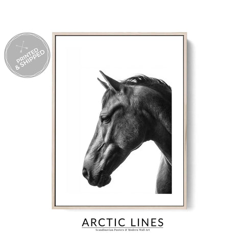 Minimal horse portrait photography print