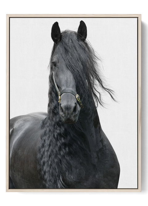 Minimalist Black Horse Art Print

