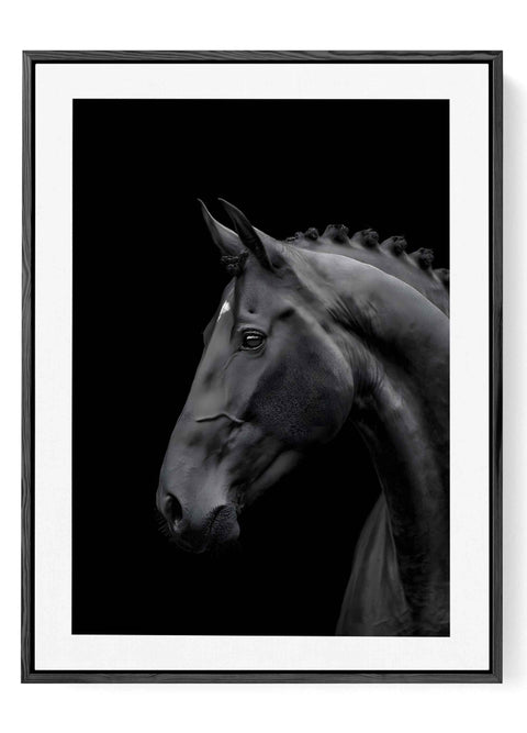 Minimalist Equestrian Art Print with a black horse on a dark background