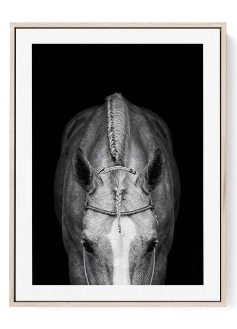 Minimalist Equine Art Print with detailed braided mane on black background