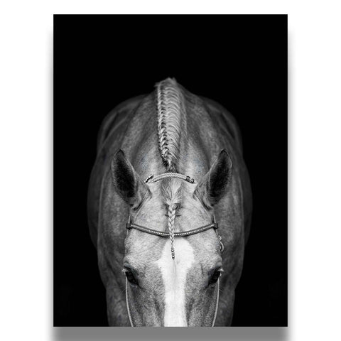 Minimalist Poster showing symmetrical horse head and braided hair