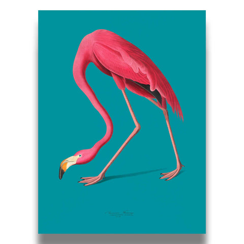 Minimalist animal poster with a focus on graceful lines and tropical vibes.