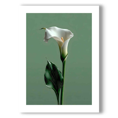 Minimalist bedroom poster with a graceful lily and organic nature theme.