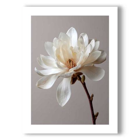 Minimalist bedroom poster with a soft, botanical spring flower theme.