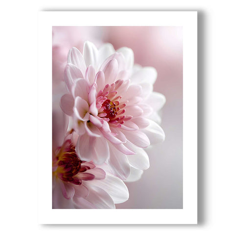 Minimalist bedroom poster with a soft, romantic botanical garden theme.