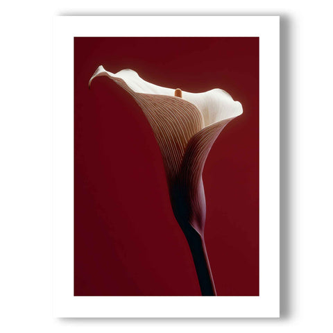 Minimalist bedroom poster with a striking lily and intense color theme.