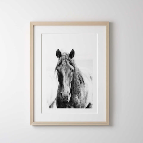 Minimalist black and white horse Decor