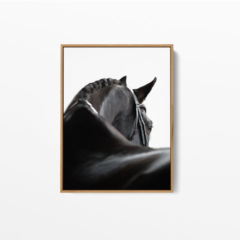 Minimalist black horse photography print with dramatic natural lighting