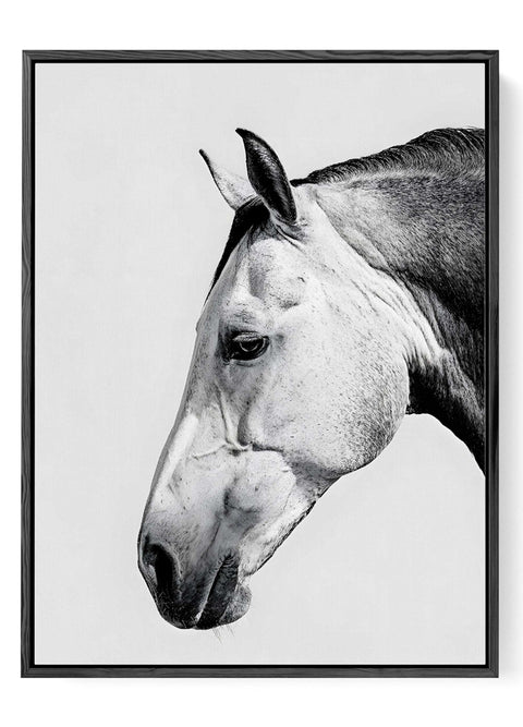 Minimalist equestrian wall art poster