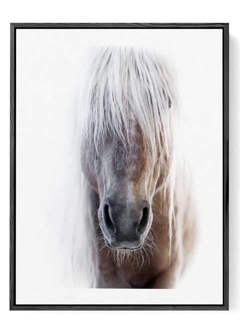 Minimalist equestrian wall decor