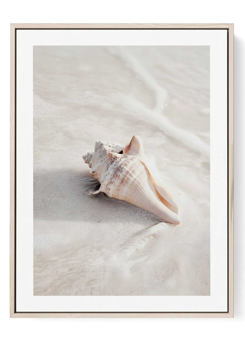 Minimalist line art print of a single seashell resting on beach sand.