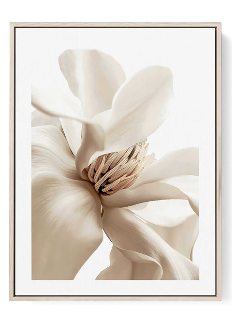 Minimalist line art print of an ethereal white magnolia blossom.