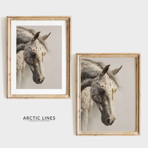 Minimalist living room poster with a sophisticated equestrian nature theme.