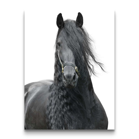 Minimalist luxury horse wall decor