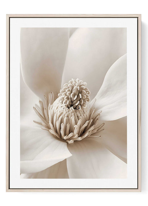 Minimalist photography print of a white magnolia flower closeup.