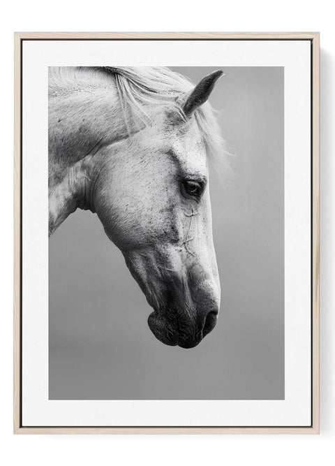Minimalist white horse portrait art print with a soft, ethereal glow.