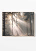 Golden Forest Sun Rays Print – Misty Woodland Light Wall Art