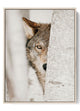 Watchful Wolf Canvas Print