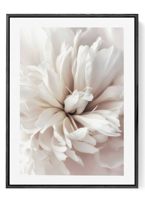 Modern Nordic floral wall decor featuring a close-up of a white flower.