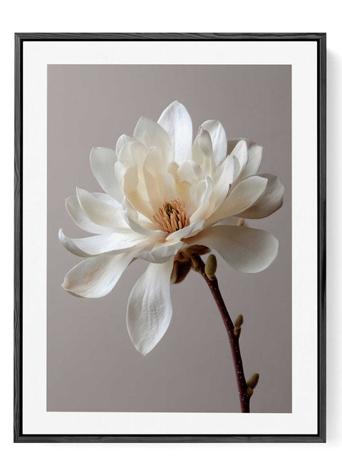 Modern Nordic floral wall decor featuring a soft cream and white bloom.