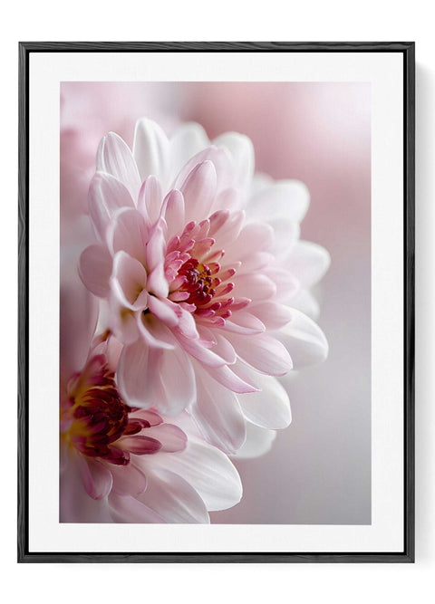 Modern Nordic floral wall decor featuring soft blush petals and symmetry.