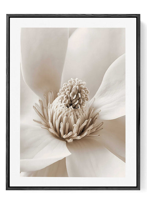 Modern Nordic floral wall decor featuring soft white petals and center.