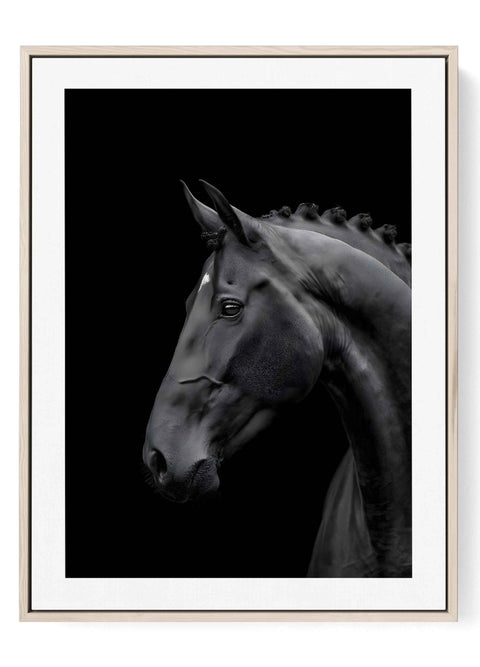 Modern Wall Art featuring a moody black horse side profile portrait