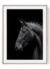 Black Horse Side Profile Print - Horse Portrait - Minimalist Equestrian Wall Art Moody Stallion