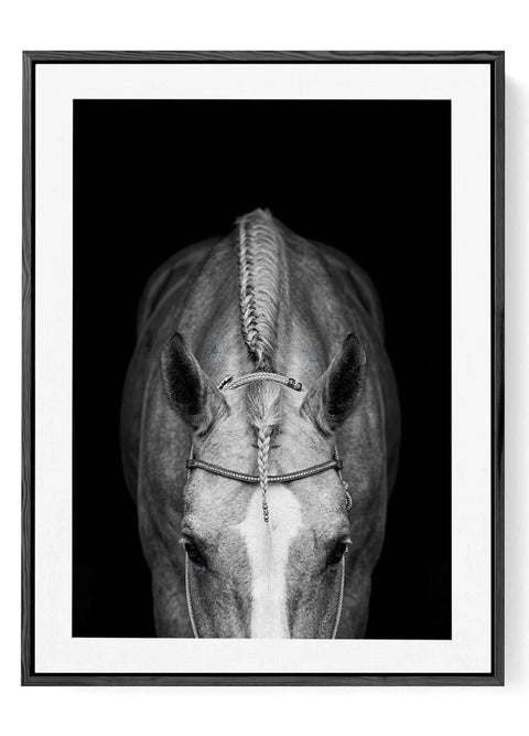 Modern Wall Art showing a top down black and white horse portrait