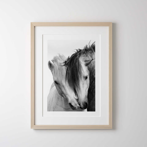 Modern black and white animal decor