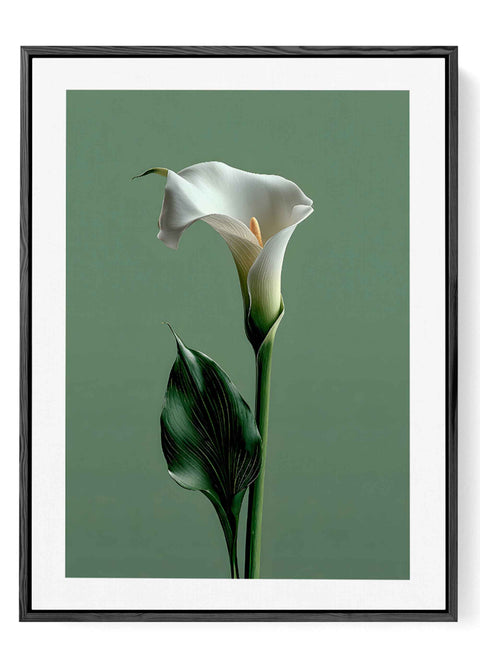 Modern botanical wall decor with a soft sage green and white color palette.