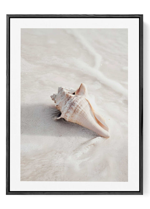 Modern coastal wall decor featuring neutral beige and tan earthy tones.